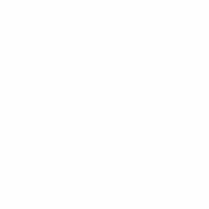 cropped cropped 1000177624 300x300